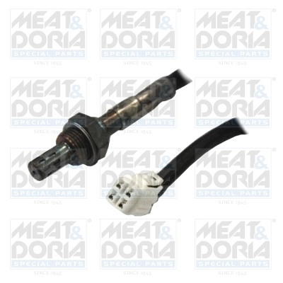 Oxygen Sensor